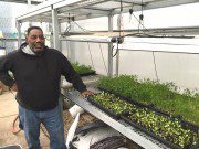 Tackling Food Insecurity On The South Side