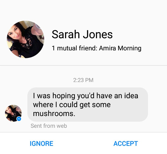 Anonymous Internet trolls taunt Andrea Irwin on social media still two years after the death of her son. This personal message sent directly to Irwin alludes towards her son's experimenting with hallucinogenic mushrooms on the day of his death.