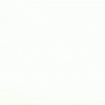 White-Background-Wallpapers-HD