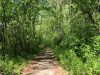 Madison’s Lost City