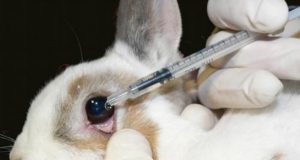 Not All-or-Nothing: Animal Testing Justified in Medical Research, Not Cosmetics
