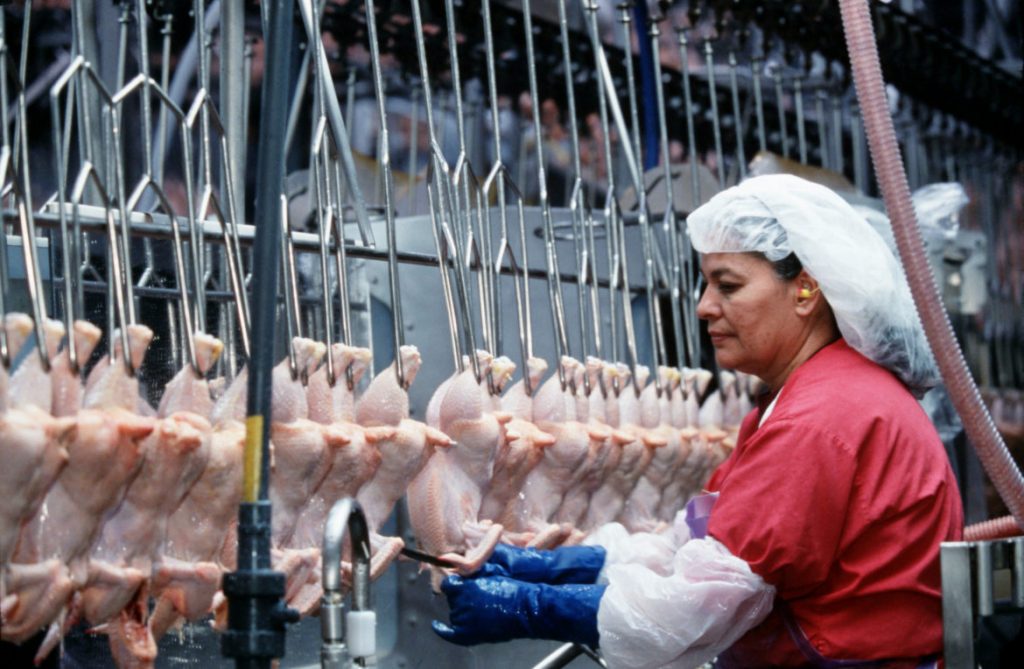 Poultry Processing Workers Face Injuries in Wisconsin, Nationwide