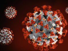 New coronavirus record for second straight day as 880 test positive in Wisconsin