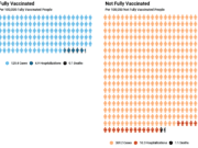 State data shows sharp contrast between vaccinated, unvaccinated