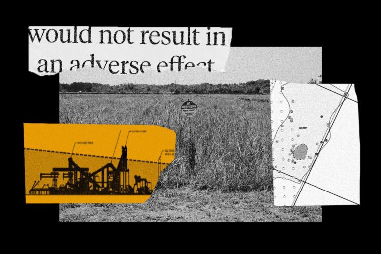 She Warned the Grain Elevator Would Disrupt Sacred Black History. They Deleted Her Findings.