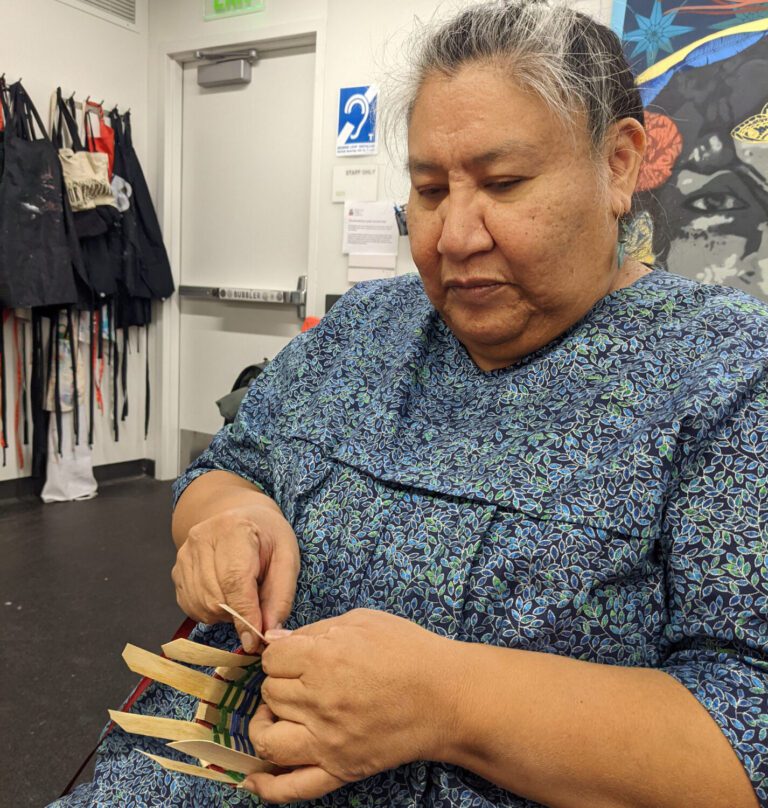 Madison Public Library and Ho-Chunk Gaming announce submission call for Teejop and Beyond 2023