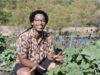 Collard Fest, hosted by Firm Footing Farms, brings Black cultural food to Olbrich After Dark Tuesday