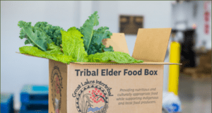 Gov. Evers, DATCP announce $1.5M grants to help tribal elders and their families
