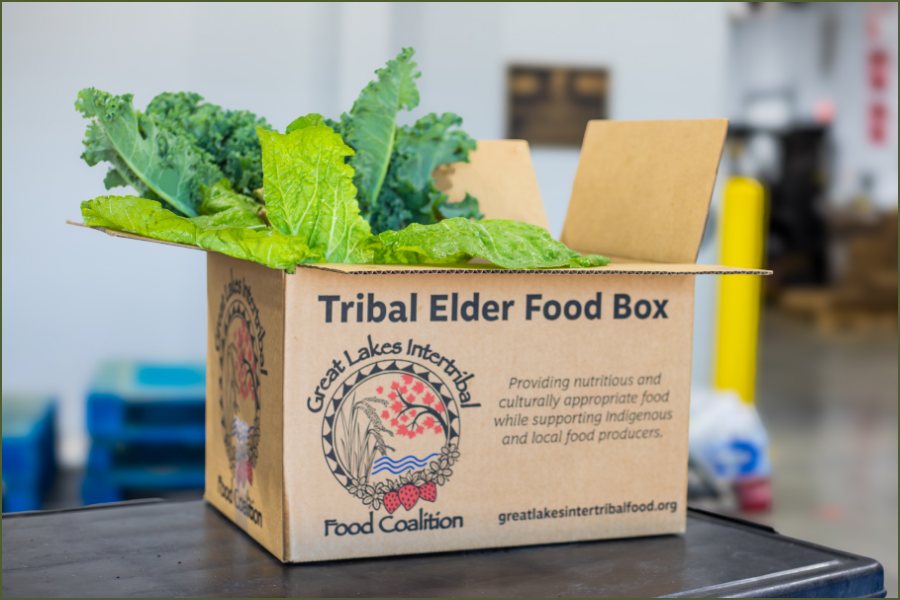 DATCP now accepting applications for Tribal Elder Community Food Box Program