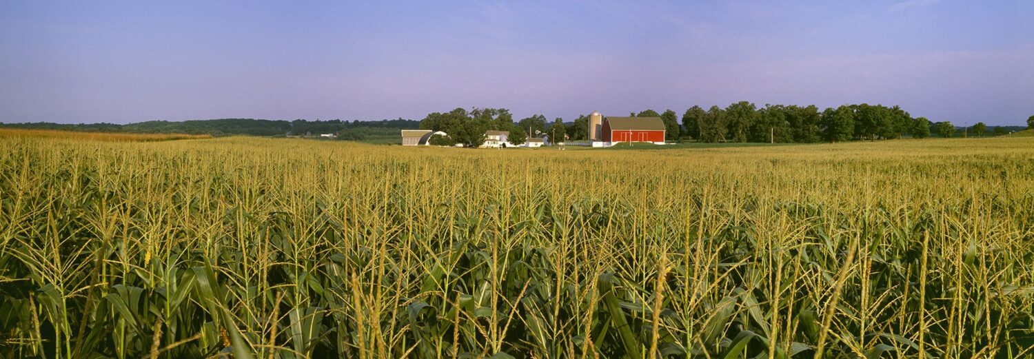 ‘A huge blow’: USDA cuts threaten to throw Wisconsin’s local food supply into disarray ‘A huge blow’: USDA cuts threaten to throw Wisconsin’s local food supply into disarray