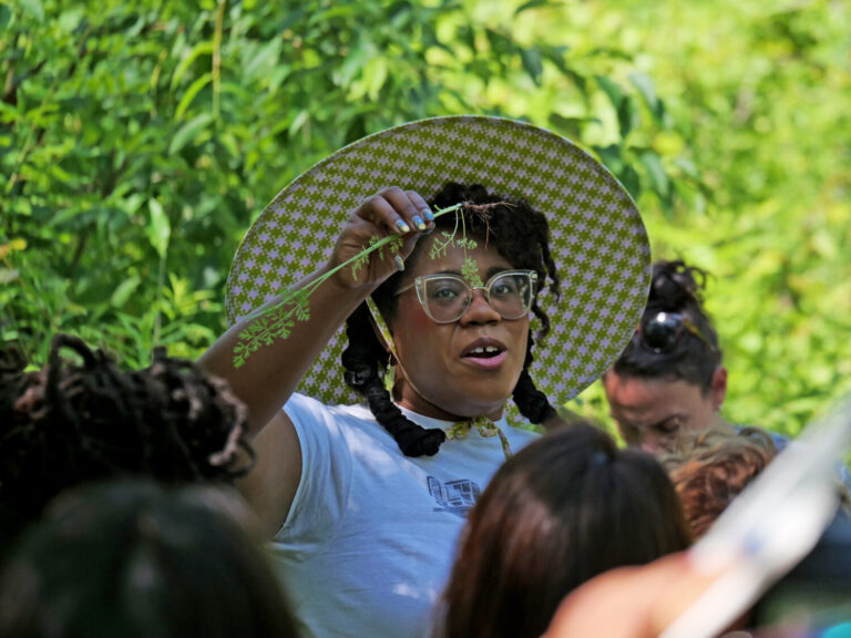 There’s a salad in your backyard: Color in the Outdoors hosts foraging workshop with Alexis Nelson & Sam Thayer