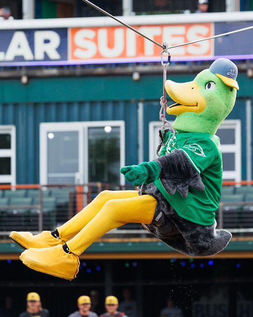 Mallards off to flying start in 25th anniversary season Mallards off to flying start in 25th anniversary season