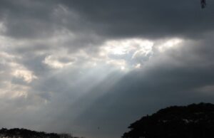 Rev. David Hart: Reflections on rapture