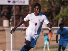 Mingos sign Ghanaian striker Stephan Annor Gyamfi