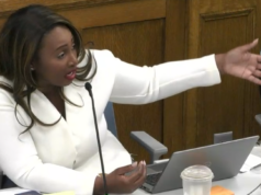 Madison Common Council delays changes to independent police monitor ordinance