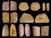 Prehistoric dice suggest that Native Americans may have been gaming since the last ice age