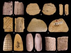 Prehistoric dice suggest that Native Americans may have been gaming since the last ice age