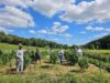Urban Triage launches new hemp brand, Less Noise Wellness, powered by local agriculture, sustainability, and community ownership