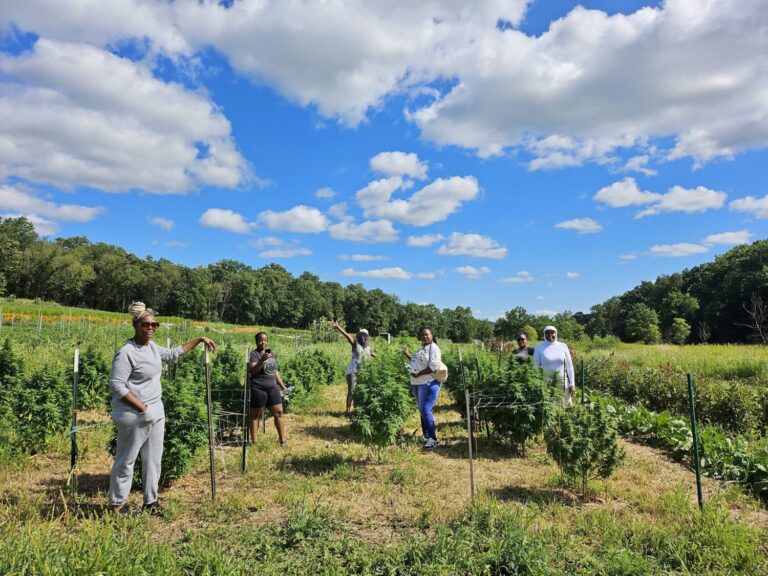 Urban Triage launches new hemp brand, Less Noise Wellness, powered by local agriculture, sustainability, and community ownership