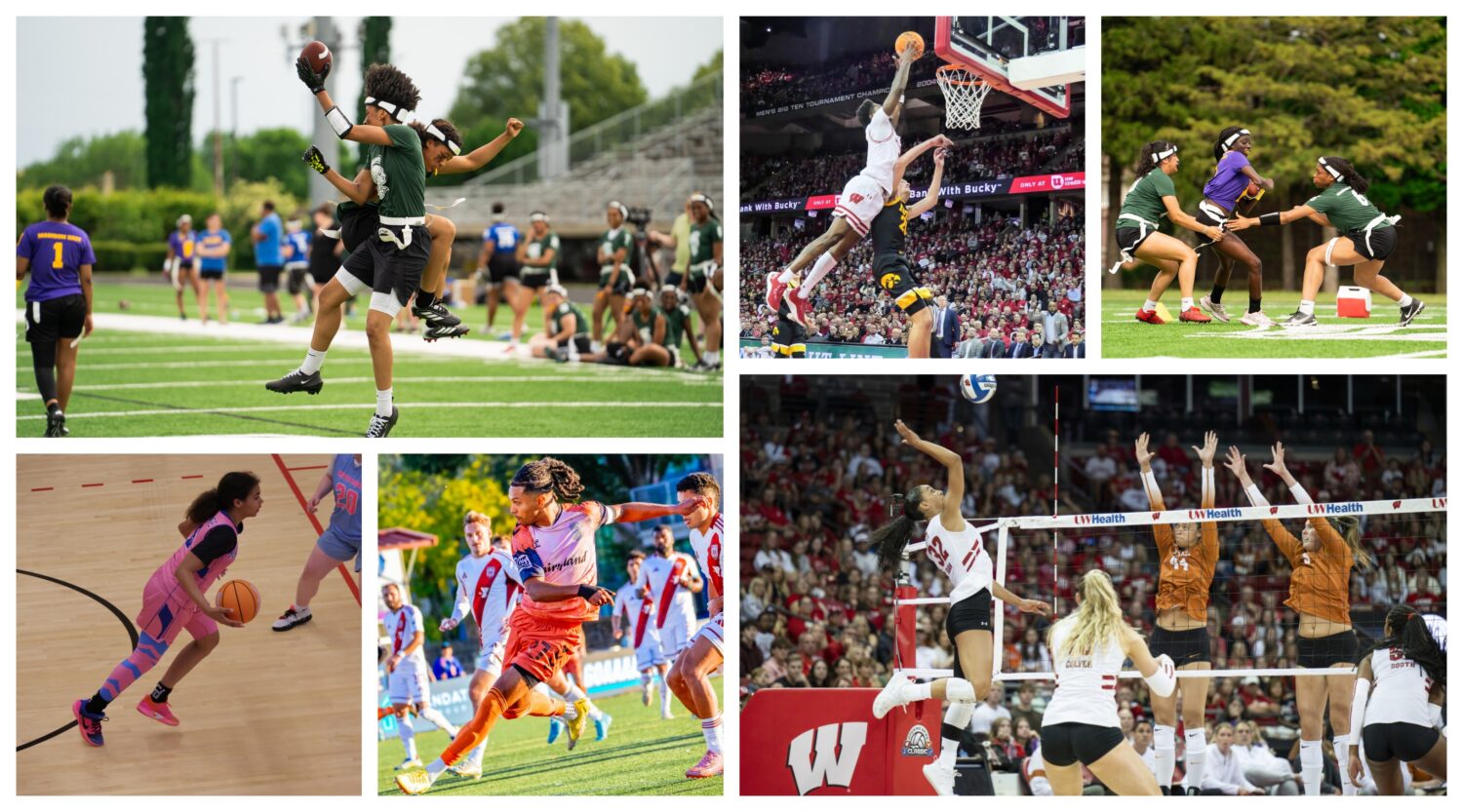 Introducing the Madison365 Sports Network