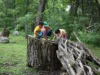 Nature Everywhere brings free outdoor events across Madison this weekend