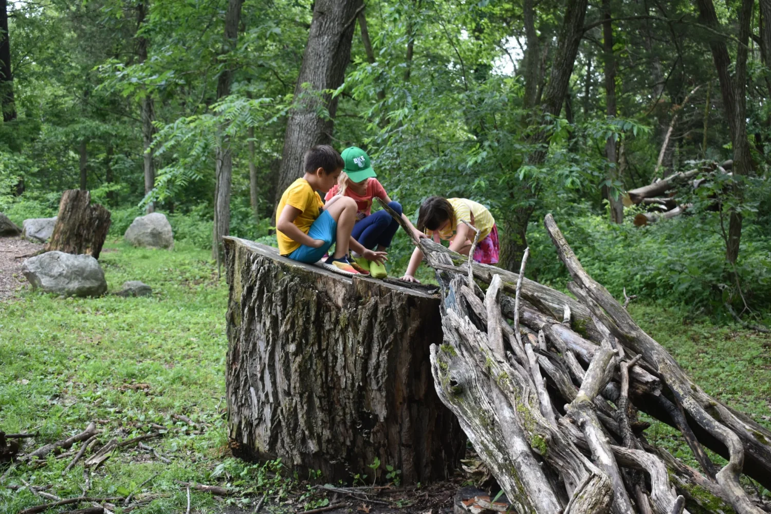 Nature Everywhere brings free outdoor events across Madison this weekend