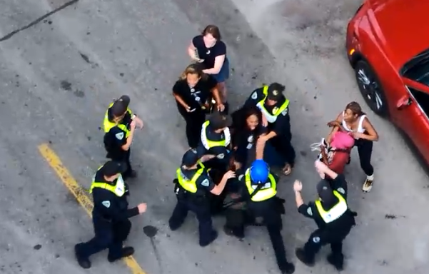 Independent Police monitor injured in altercation with police