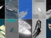 A timeline of US strikes on boats that have killed at least 227