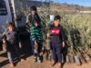Palestine Olive Harvest Solidarity Fair set for Oct. 10 in Madison